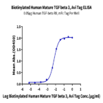 Biotinylated Human Mature TGF beta 3 Protein BP004113 Syd Labs