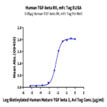 Human TGF-beta RII/TGFBR2 Protein BP005248 Syd Labs