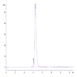 Human TGF-beta RII/TGFBR2 Protein (TGF-HM5R2)