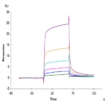 Human TGFBR1 Protein BP005763 Syd Labs