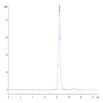 Mouse TGM2 Protein BP004260 Syd Labs