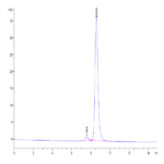 Human TIE1 Protein BP003429 Syd Labs