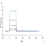 Human TIGIT Protein BP005322 Syd Labs