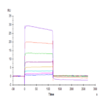 Human TIGIT Protein BP005294 Syd Labs