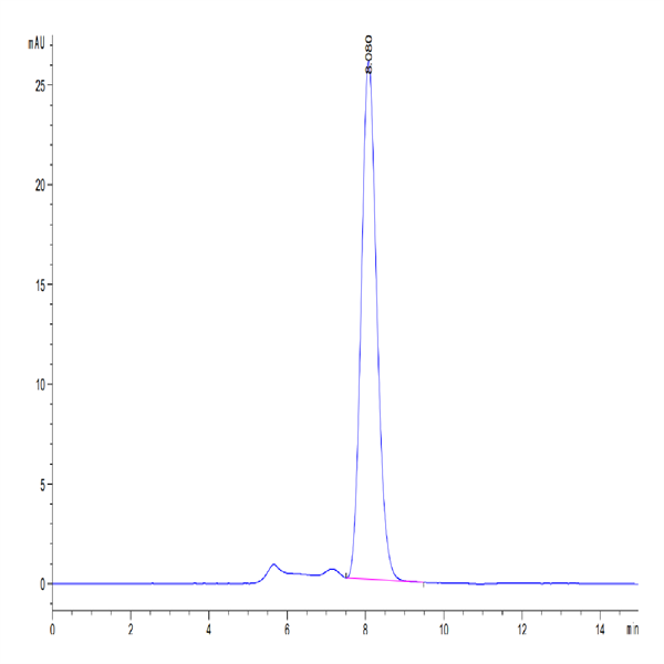 Mouse TIGIT Protein (TIG-MM210)