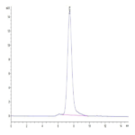 Human TIM-1/HAVCR1 Protein BP003663 Syd Labs