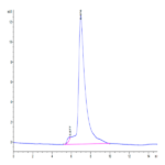 Human TIM-4 Protein BP003822 Syd Labs