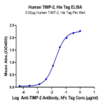 Human TIMP-2 Protein BP005569 Syd Labs