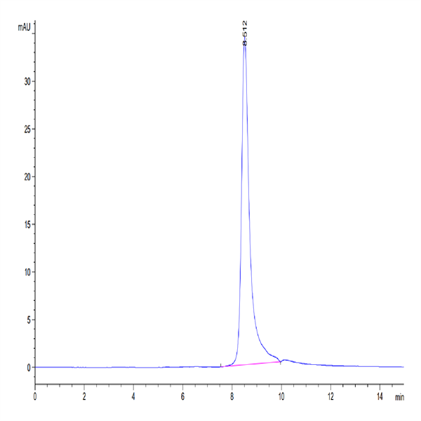 Human TIMP-2 Protein (TIM-HM1P2)