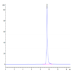 Human TIMP1 Protein BP004136 Syd Labs