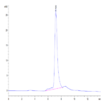 Mouse TREML2/TLT-2 Protein BP004462 Syd Labs