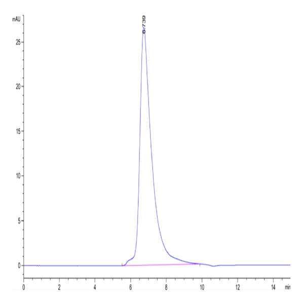 Cynomolgus TNFR2/CD120b/TNFR1B Protein (TNF-CM1R2)