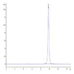 Human TNFRSF19 Protein BP003231 Syd Labs