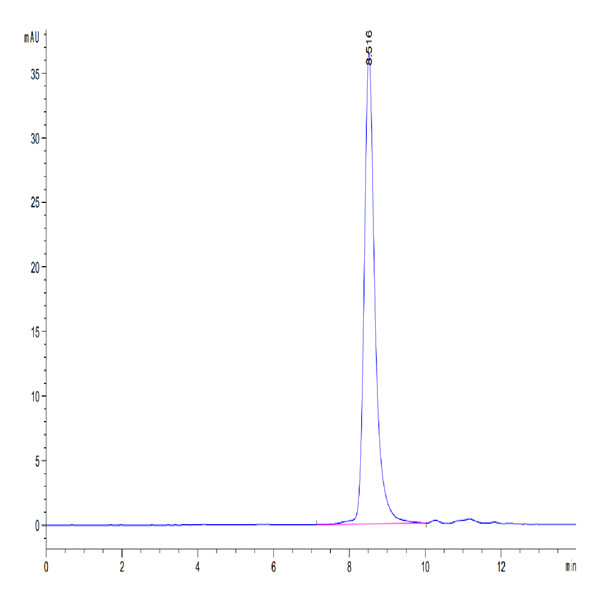 Human TNFR1/CD120a/TNFRSF1A Protein (TNF-HM1R1)