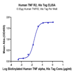 Human TNFR2/CD120b/TNFRSF1B Protein BP005406 Syd Labs