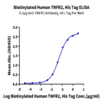 Biotinylated Human TNFR2/CD120b/TNFRSF1B Protein (Primary Amine Labeling) BP003855 Syd Labs
