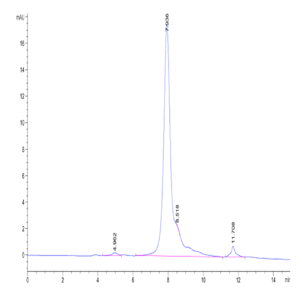 Human TNFSF12/TWEAK Protein (TNF-HM212)