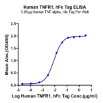 Human TNFR1/CD120a/TNFRSF1A Protein BP005161 Syd Labs