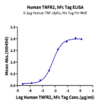 Human TNFR2/CD120b/TNFRSF1B Protein BP003360 Syd Labs