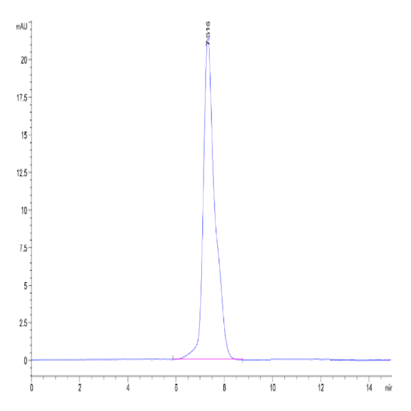 Human TNFR2/CD120b/TNFRSF1B Protein (TNF-HM2R2)