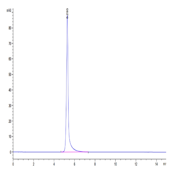 Human TNFR2/CD120b/TNFRSF1B Protein (TNF-HM3R2)