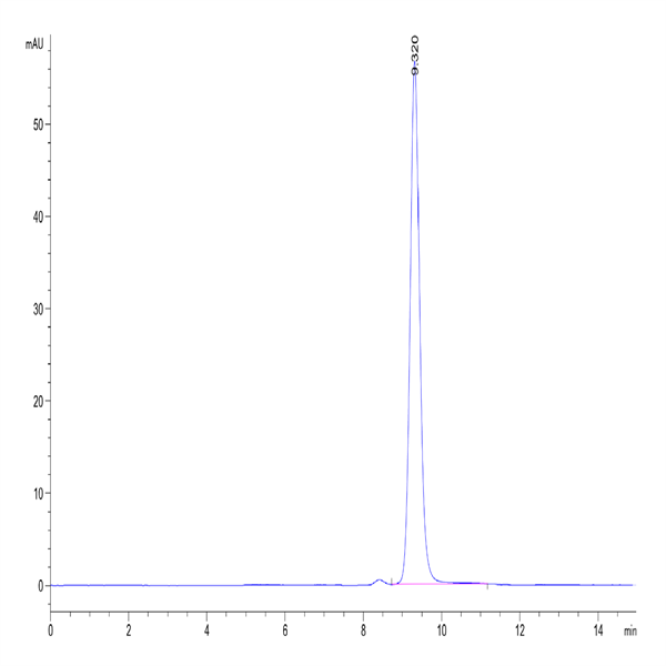 Human TNF alpha Protein (TNF-HM40A)