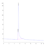 Human TPM1 Protein BP003335 Syd Labs