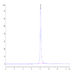 Human Thyroid Peroxidase Protein BP004427 Syd Labs