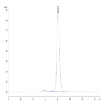 Human TrkA Protein BP003276 Syd Labs