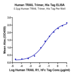 Human TRAIL Trimer Protein BP005779 Syd Labs
