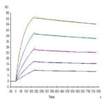 Biotinylated Human TRAIL R1/DR4/TNFRSF10A Protein BP005722 Syd Labs