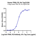 Human TRAIL R2/DR5/TNFRSF10B Protein BP005541 Syd Labs