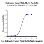 Biotinylated Human TRAIL R2/DR5/TNFRSF10B Protein BP005638 Syd Labs