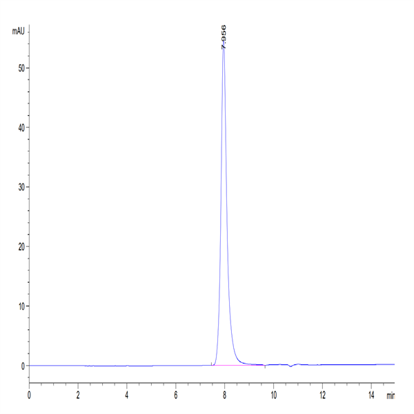 Biotinylated Human TRAIL R2/DR5/TNFRSF10B Protein (TRL-HM4R2B)