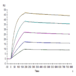Biotinylated Human TRAIL R4/TNFRSF10D Protein BP005720 Syd Labs
