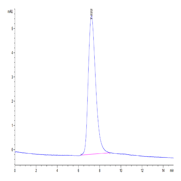 Biotinylated Human TRAIL R4/TNFRSF10D Protein (TRL-HM4R4B)