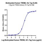 Biotinylated Human TREM2 Protein BP005754 Syd Labs