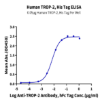 Human TROP-2/TACSTD2 Protein BP005316 Syd Labs
