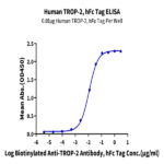 Human TROP-2/TACSTD2 Protein BP005729 Syd Labs