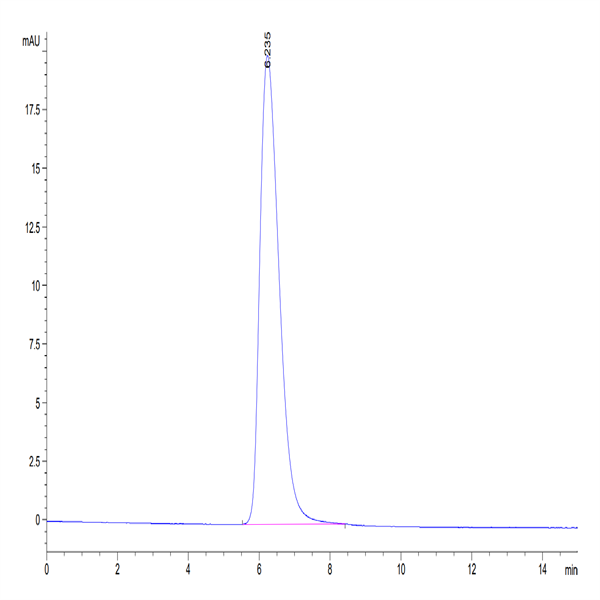 Human TROP-2/TACSTD2 Protein (TRP-HM221)