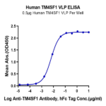 Human TM4SF1 Protein-VLP BP003757 Syd Labs