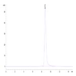 Cynomolgus TSLPR Protein (TSP-CM10R)