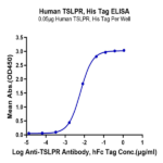 Human TSLPR Protein BP004879 Syd Labs
