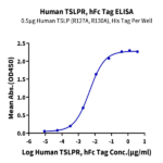 Human TSLPR Protein (TSP-HM20R)