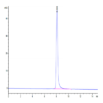 Human TSPAN8 Protein BP003874 Syd Labs