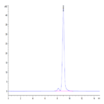 Human Transthyretin/Prealbumin Protein BP004577 Syd Labs