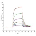 Human TYRO3 Protein BP004742 Syd Labs