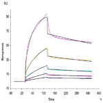 Human ULBP-2 Protein BP003563 Syd Labs