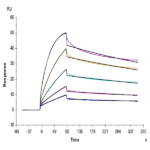 Human ULBP-4 Protein BP003544 Syd Labs