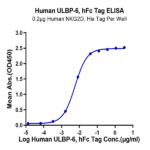 Human ULBP-6 Protein BP003546 Syd Labs